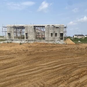 image2 (1)